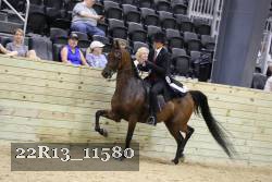 22R13_11580 thumbnail