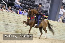 22R13_11605 thumbnail