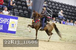 22R13_11606 thumbnail