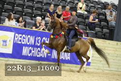 22R13_11609 thumbnail