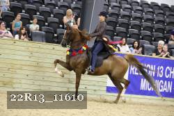 22R13_11610 thumbnail
