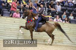 22R13_11611 thumbnail