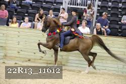 22R13_11612 thumbnail