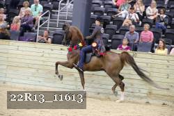22R13_11613 thumbnail