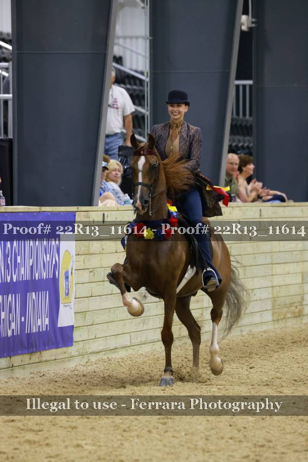 Proof Number 22R13_11614
