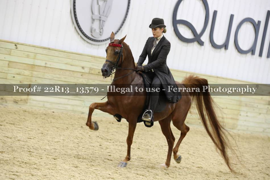 Proof Number 22R13_13579