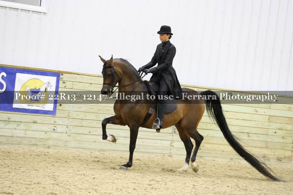 Proof Number 22R13_12147