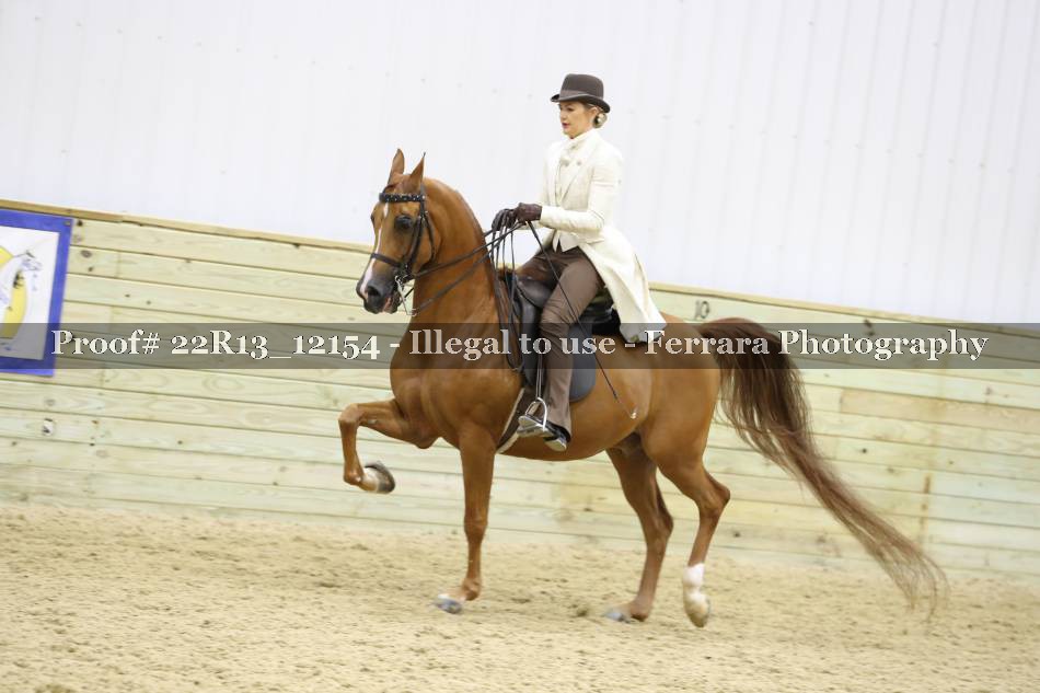 Proof Number 22R13_12154