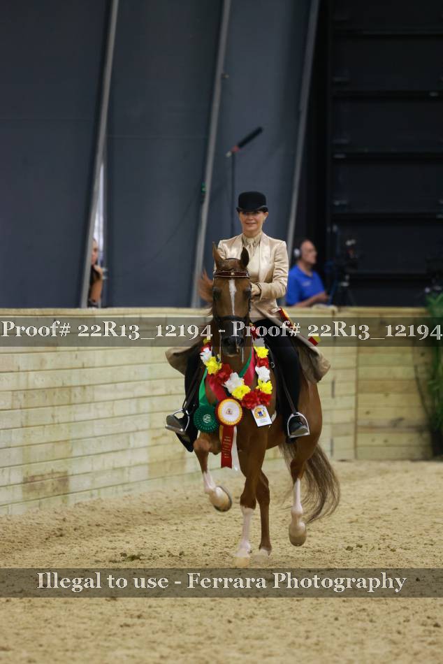 Proof Number 22R13_12194