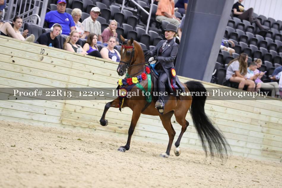 Proof Number 22R13_12202