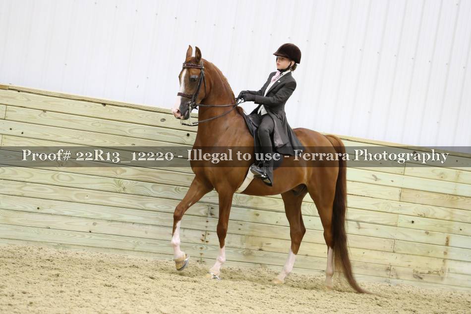 Proof Number 22R13_12220