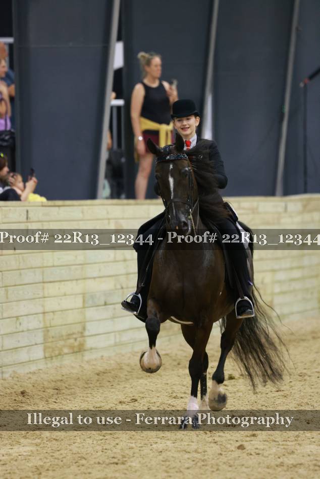 Proof Number 22R13_12344