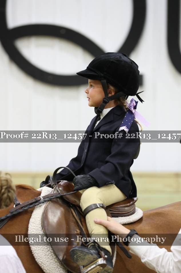 Proof Number 22R13_12457