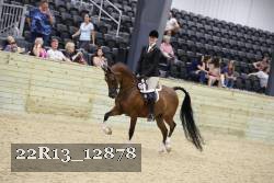 22R13_12878 thumbnail