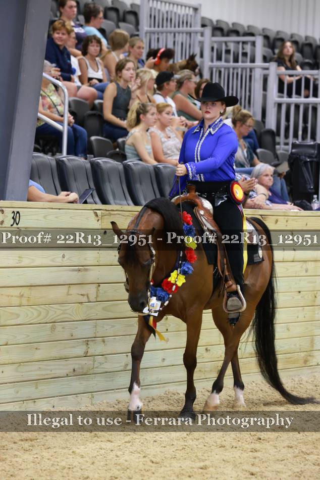 Proof Number 22R13_12951