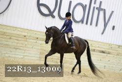 22R13_13009 thumbnail