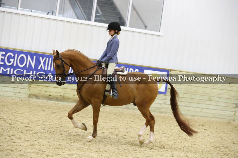 Proof Number 22R13_13012