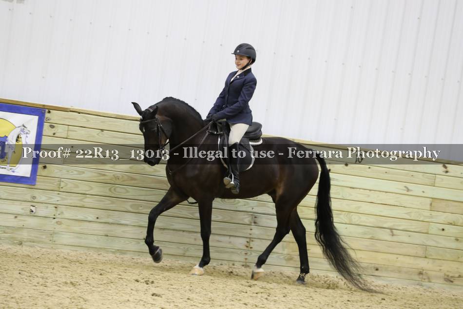 Proof Number 22R13_13013