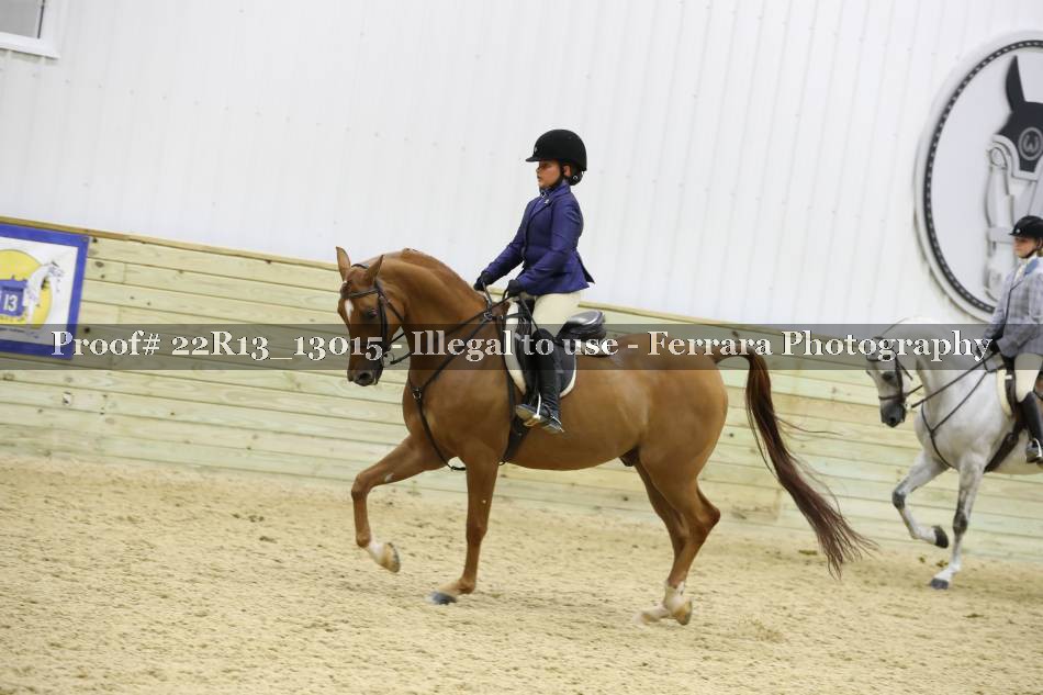 Proof Number 22R13_13015