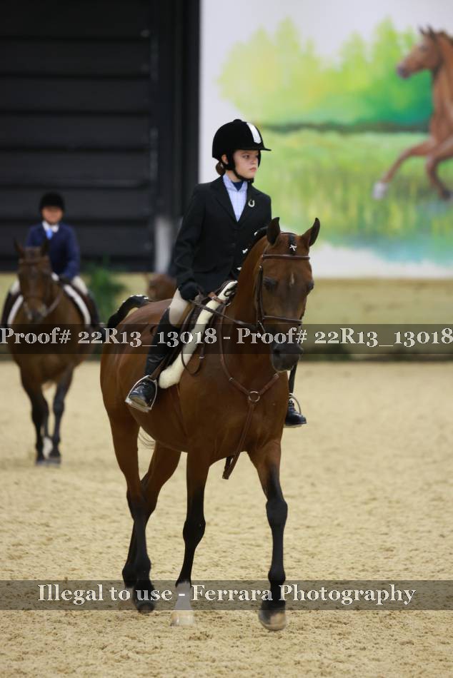 Proof Number 22R13_13018