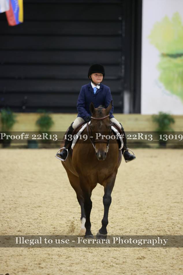 Proof Number 22R13_13019