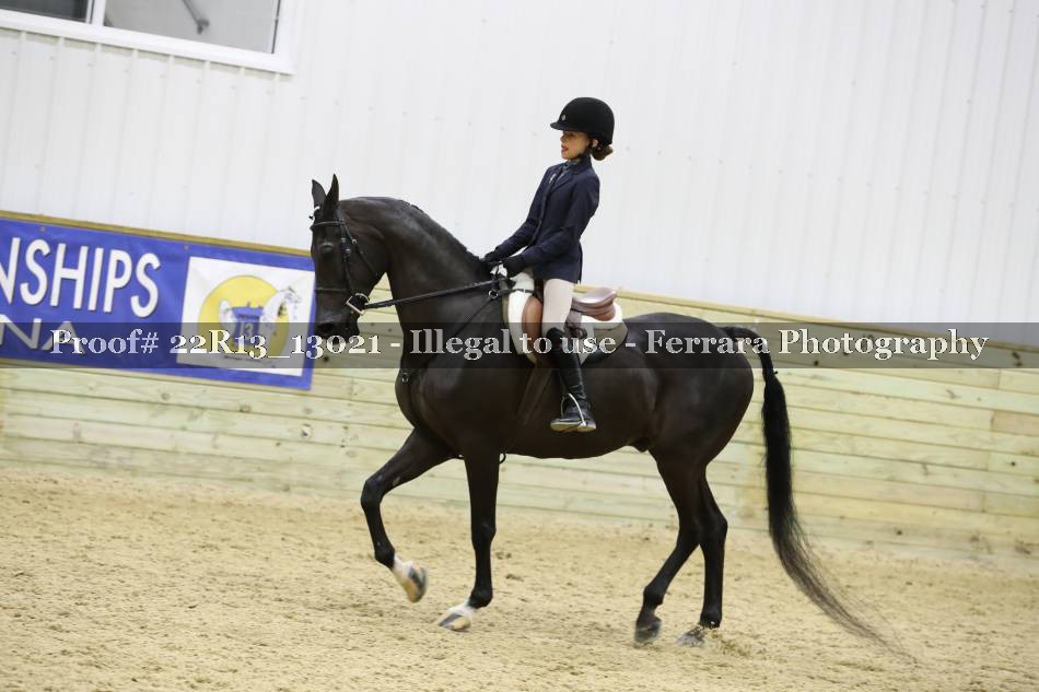 Proof Number 22R13_13021