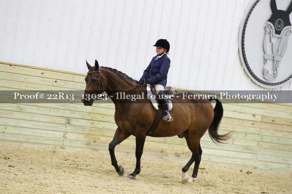 Proof Number 22R13_13023