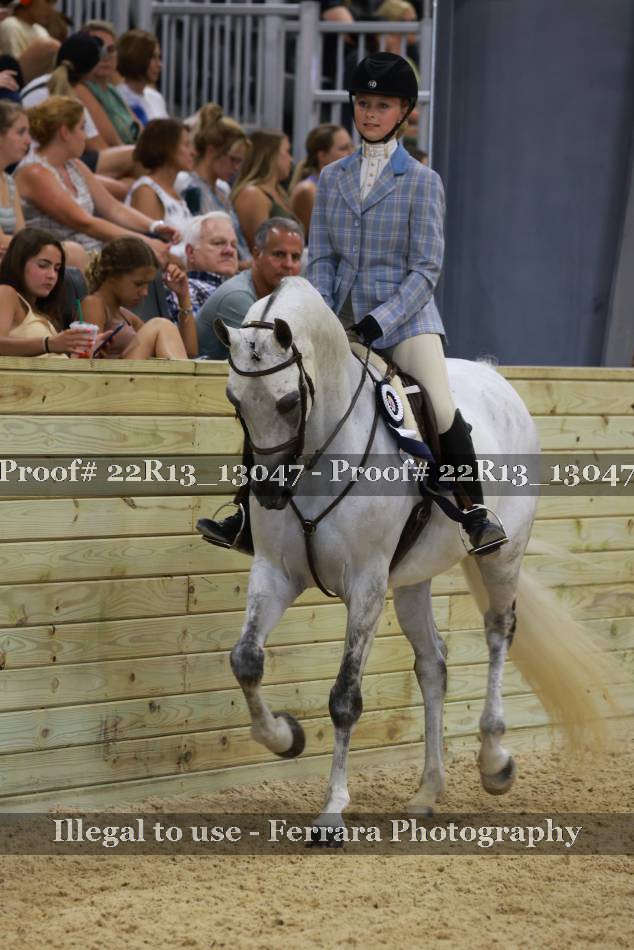 Proof Number 22R13_13047