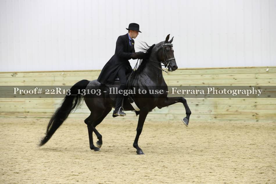 Proof Number 22R13_13103
