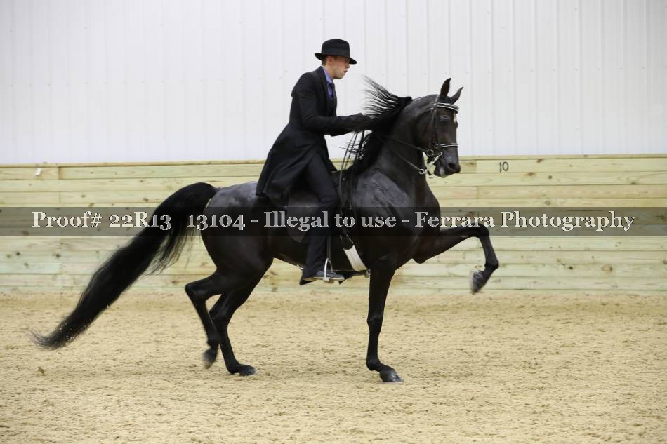 Proof Number 22R13_13104