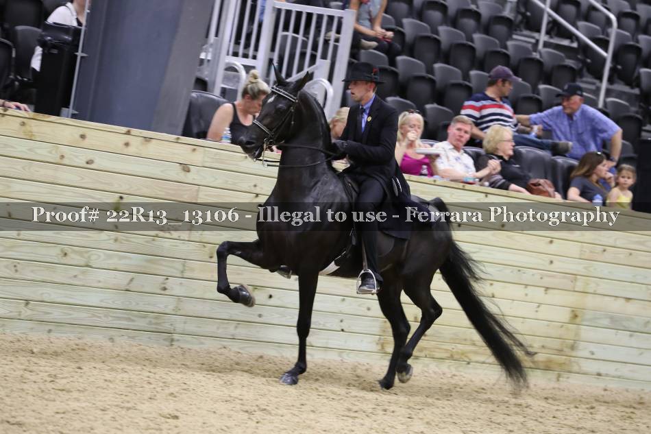 Proof Number 22R13_13106