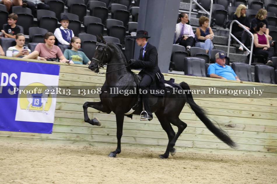 Proof Number 22R13_13108