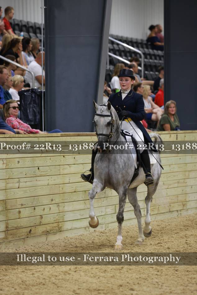 Proof Number 22R13_13188