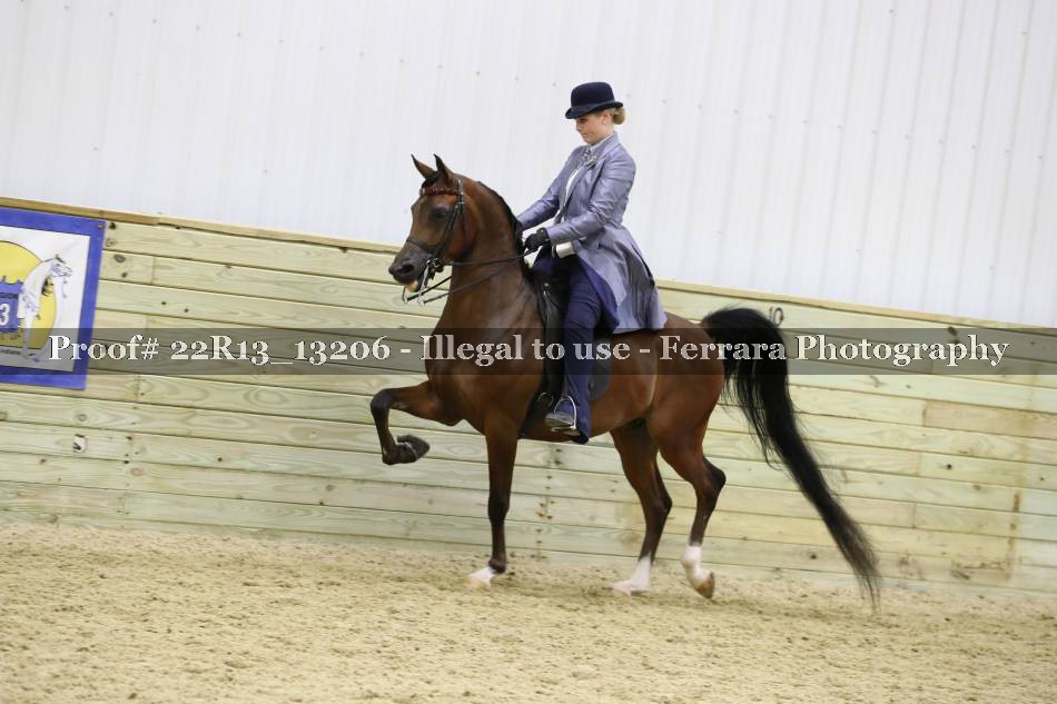 Proof Number 22R13_13206