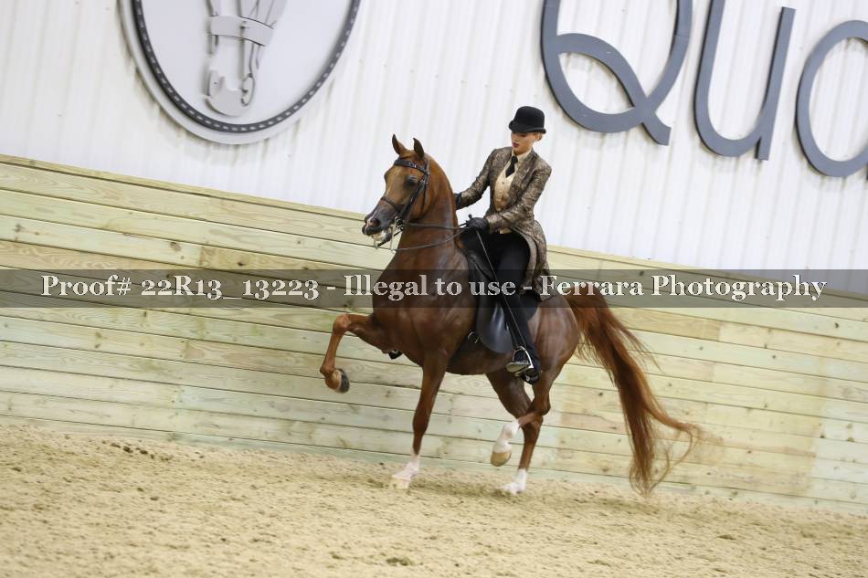 Proof Number 22R13_13223