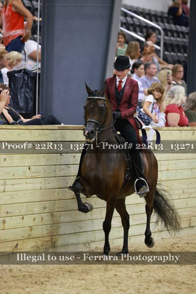 Proof Number 22R13_13271