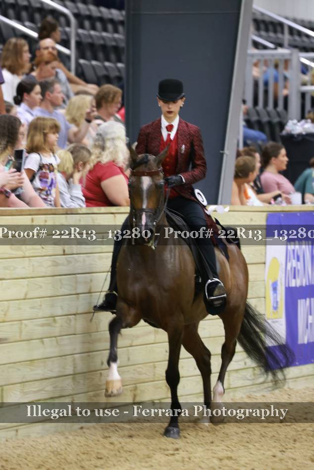 Proof Number 22R13_13280