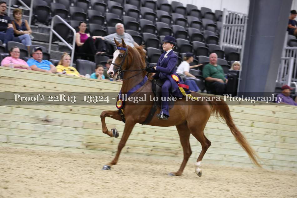 Proof Number 22R13_13324