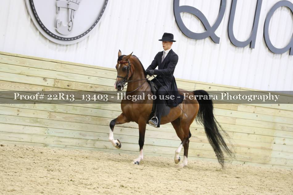 Proof Number 22R13_13403