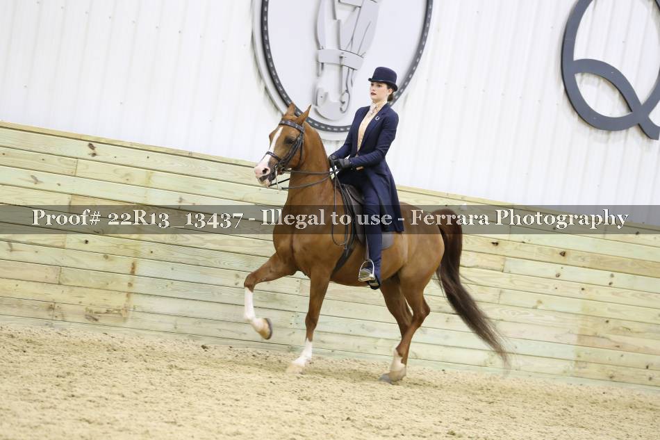 Proof Number 22R13_13437