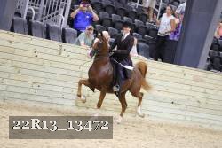 22R13_13472 thumbnail