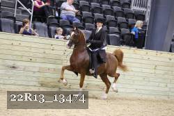 22R13_13474 thumbnail