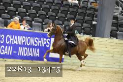 22R13_13475 thumbnail
