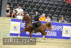 22R13_13476 thumbnail