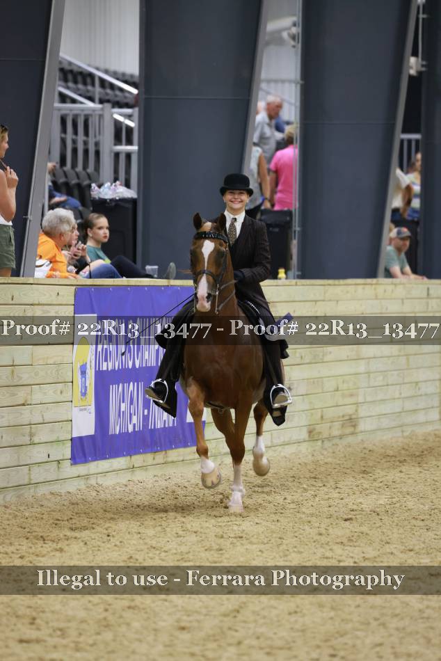 Proof Number 22R13_13477