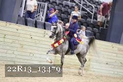 22R13_13479 thumbnail