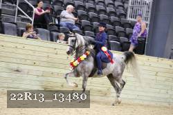 22R13_13480 thumbnail