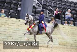 22R13_13481 thumbnail