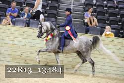 22R13_13484 thumbnail