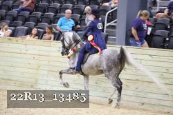 22R13_13485 thumbnail